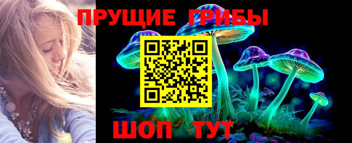 Похвистнево  Псилоцибиновые грибы ЛСД  Вход с VPN 